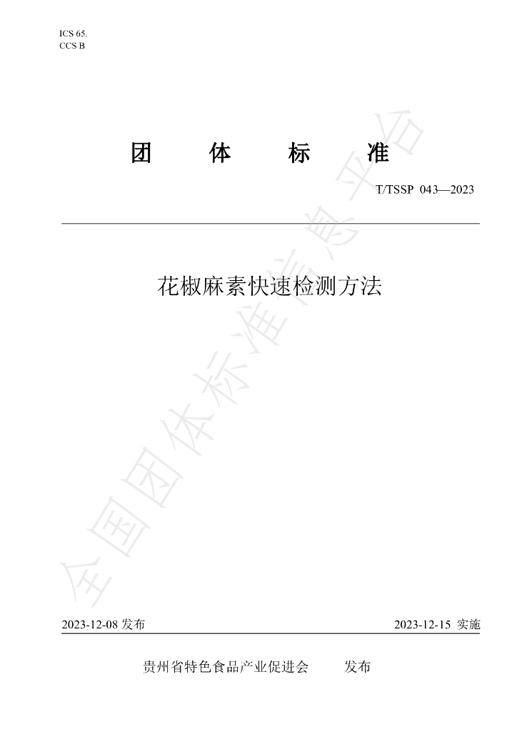 T/TSSP 043-2023 标准预览