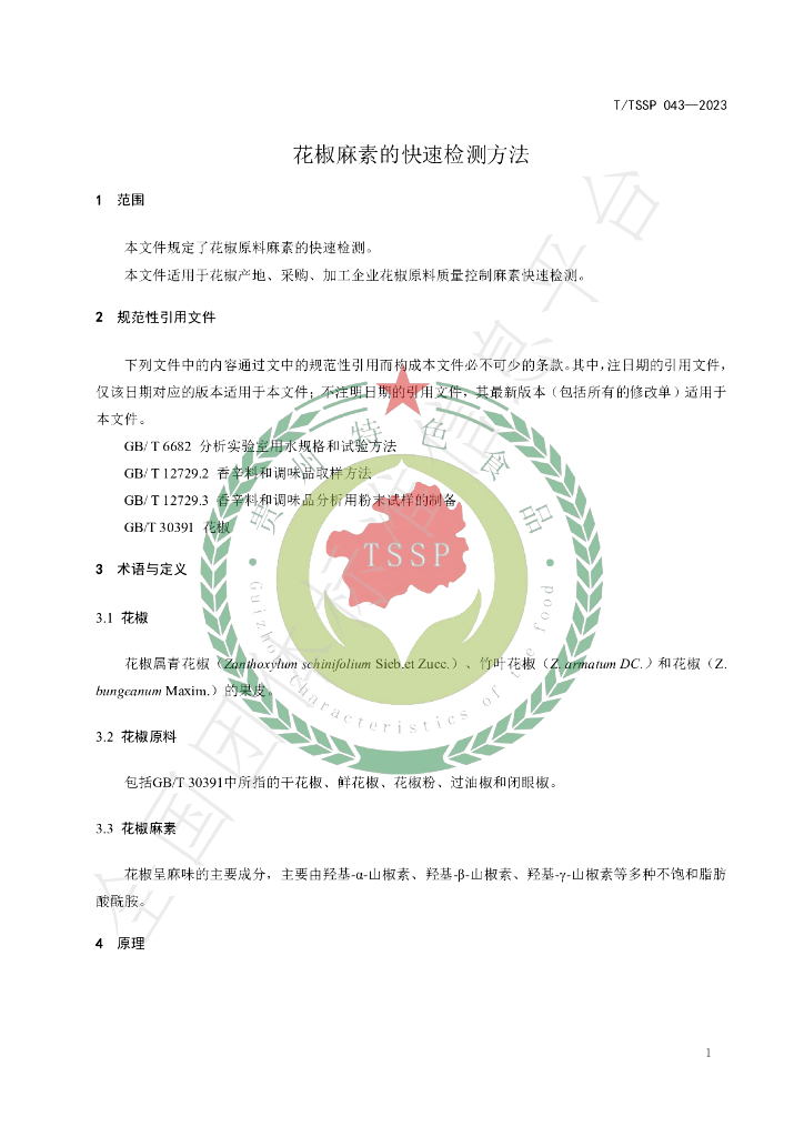 T/TSSP 043-2023 标准预览