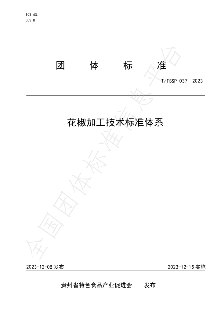 T/TSSP 037-2023 标准预览