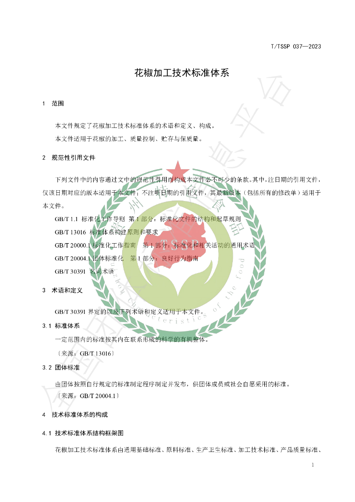 T/TSSP 037-2023 标准预览