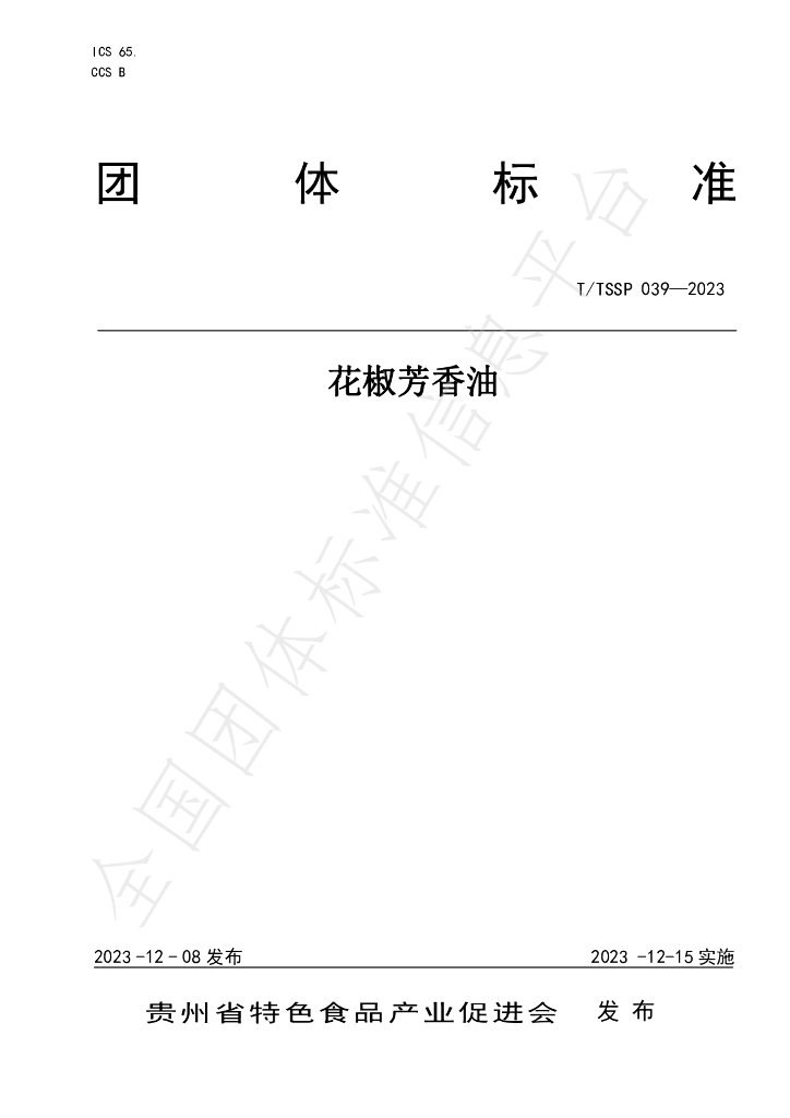T/TSSP 039-2023 标准预览