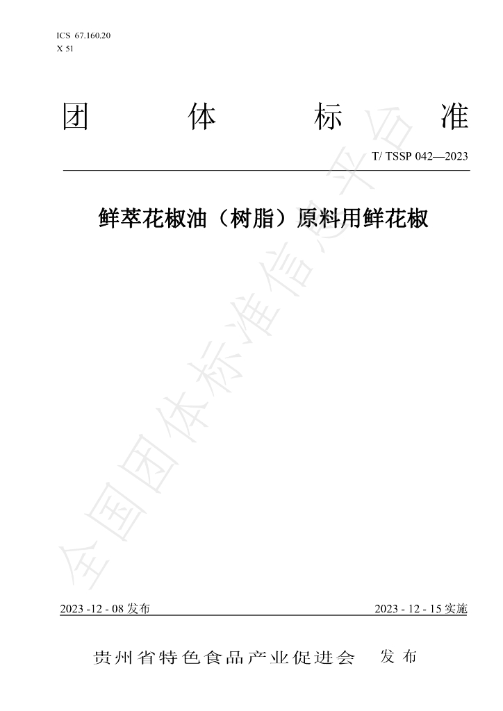 T/TSSP 042-2023 标准预览