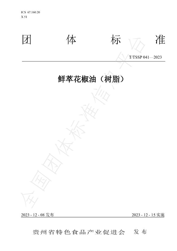 T/TSSP 041-2023 标准预览