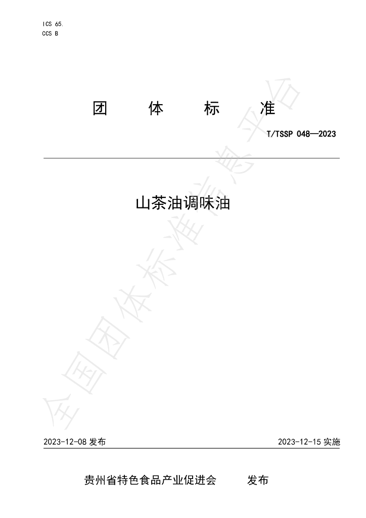 T/TSSP 048-2023 标准预览