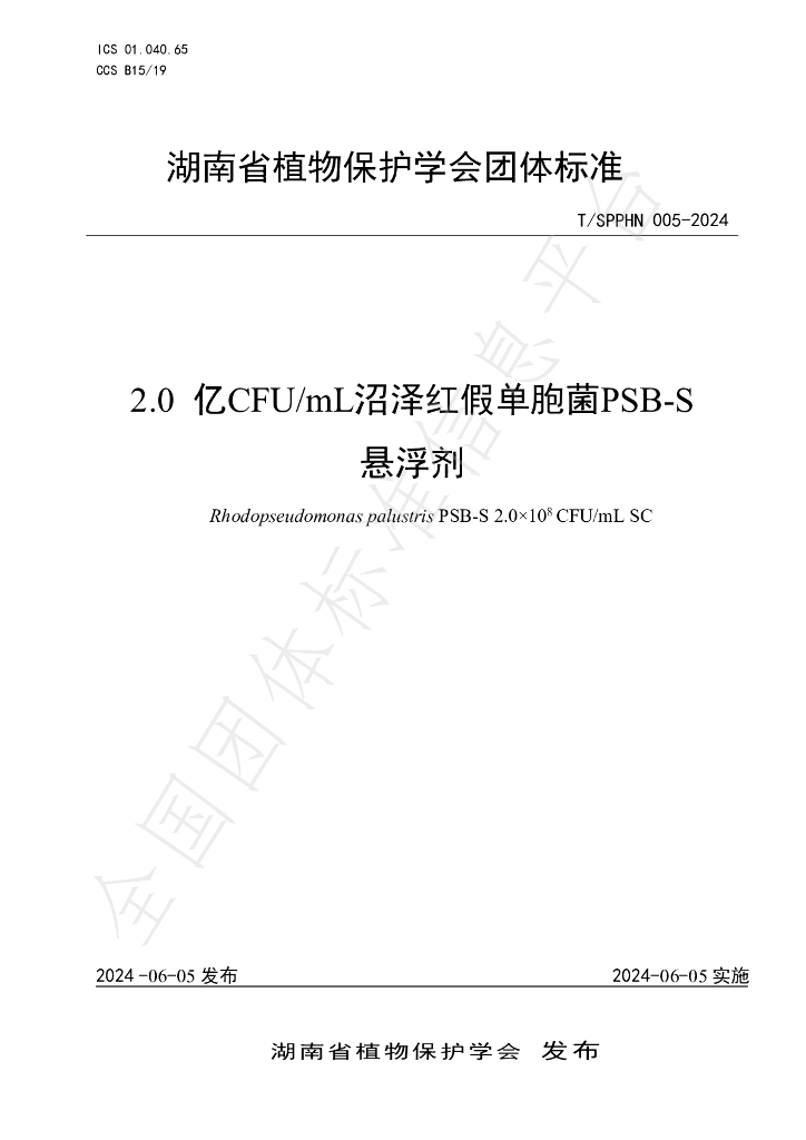 T/SPPHN 005-2024 标准预览
