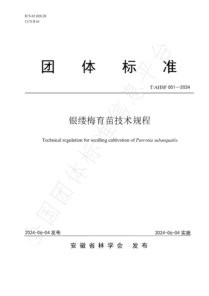 T/AHSF 001-2024 标准预览