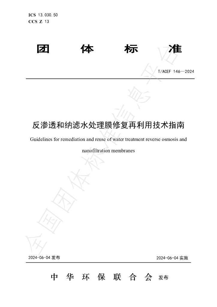 T/ACEF 146-2024 标准预览