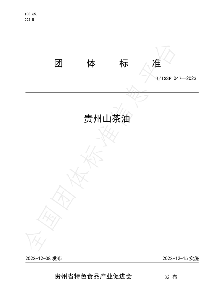 T/TSSP 047-2023 标准预览
