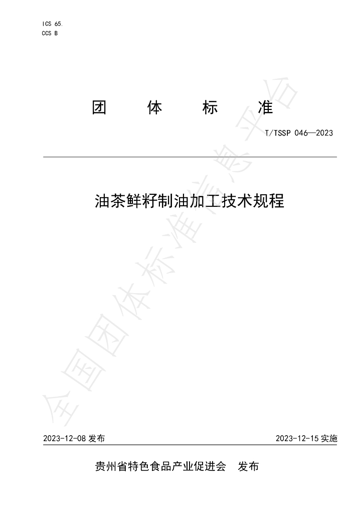 T/TSSP 046-2023 标准预览