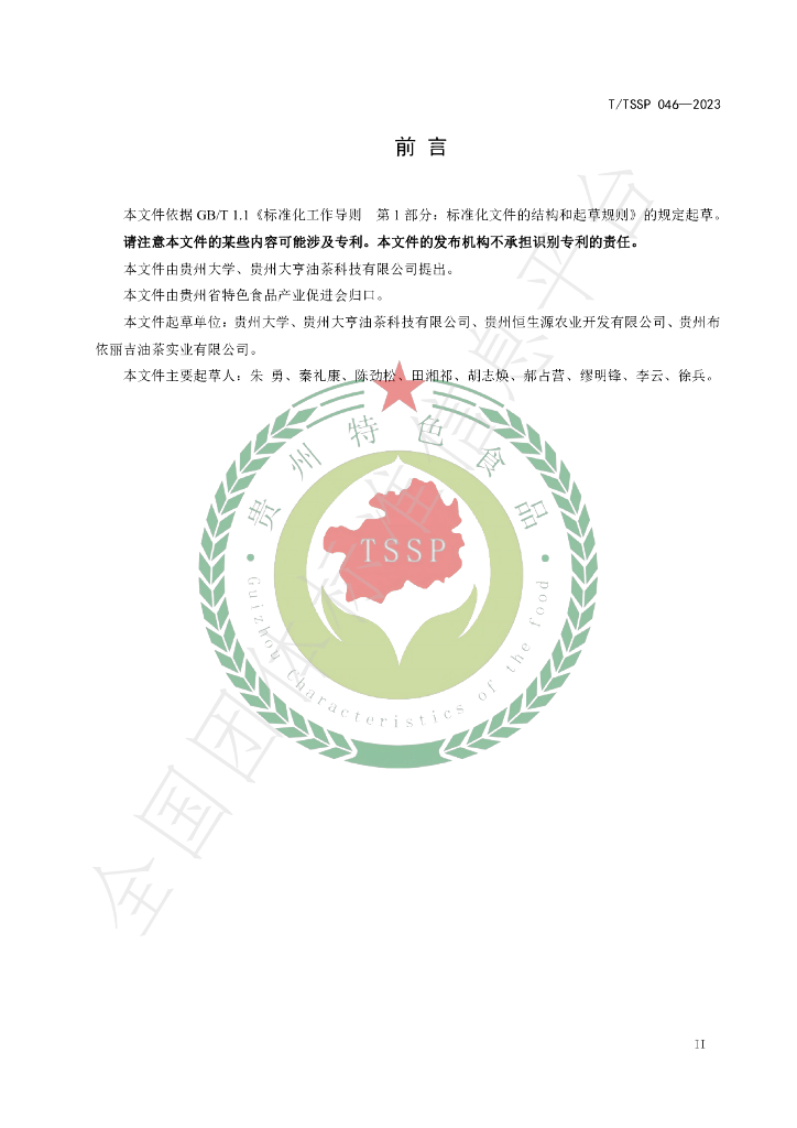 T/TSSP 046-2023 标准预览