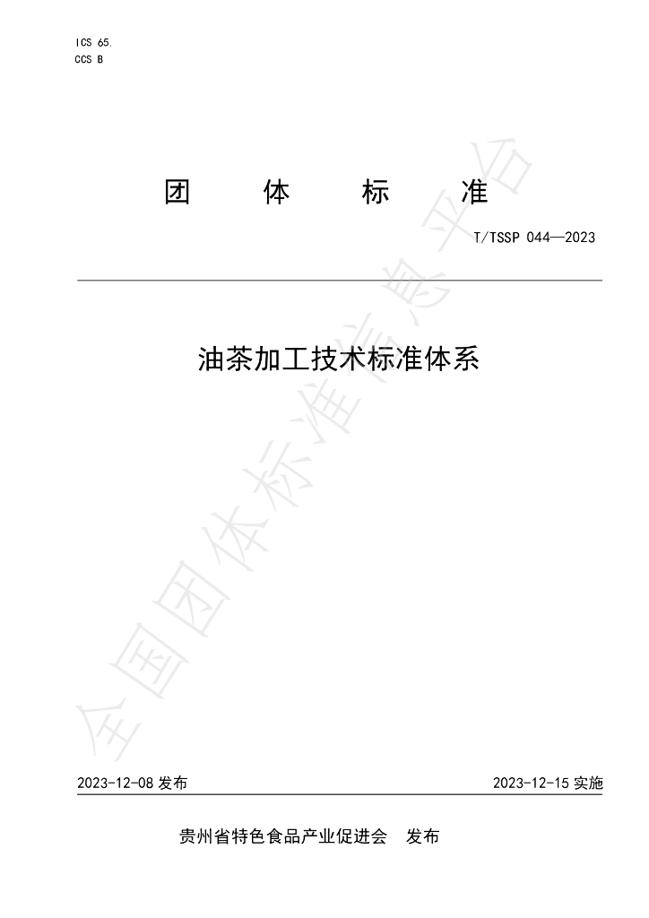 T/TSSP 044-2023 标准预览