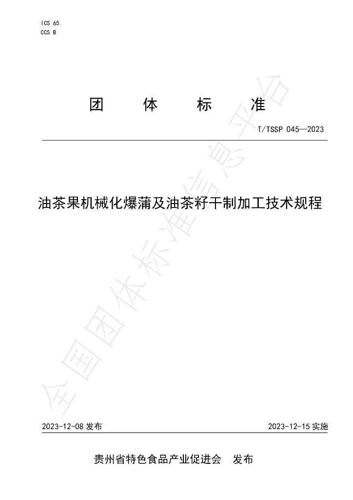 T/TSSP 045-2023 标准预览