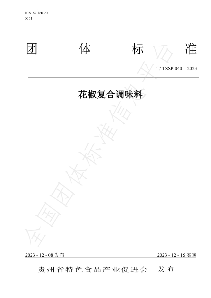 T/TSSP 040-2023 标准预览