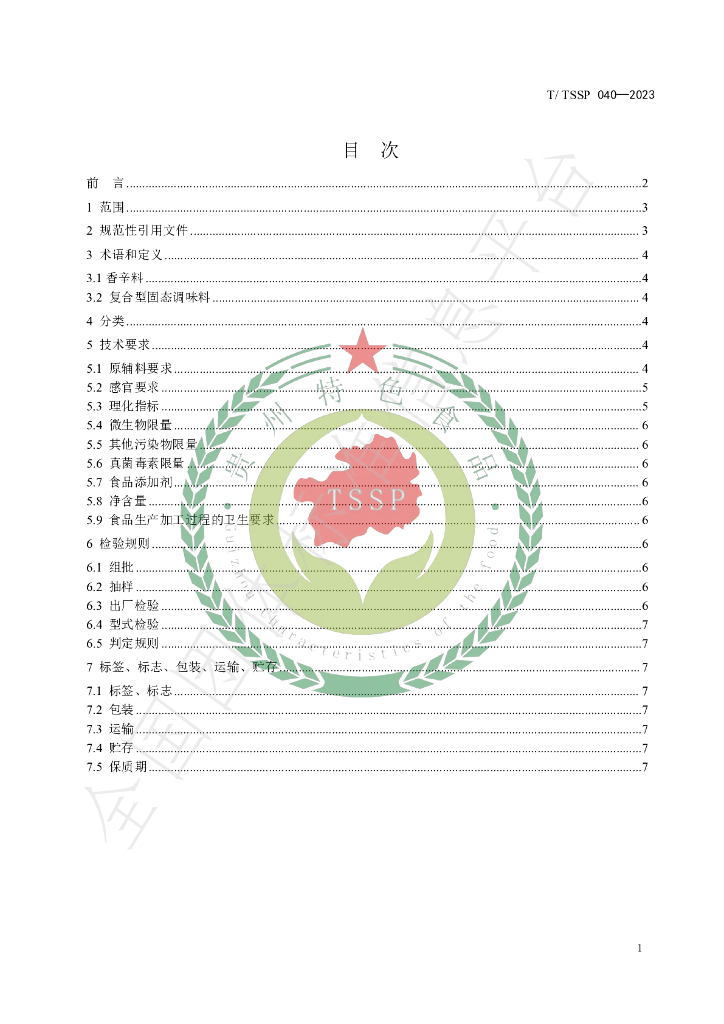 T/TSSP 040-2023 标准预览