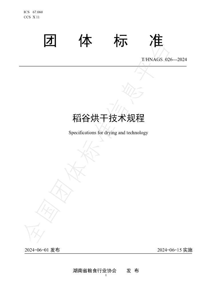 T/HNAGS 026-2024 标准预览