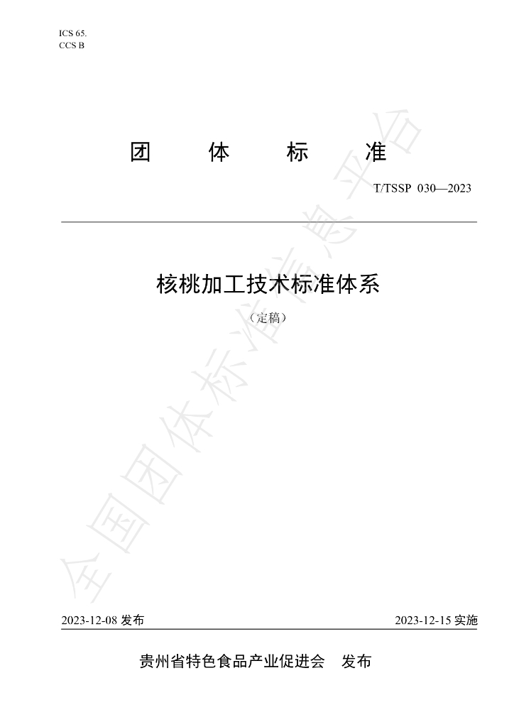 T/TSSP 030-2023 标准预览