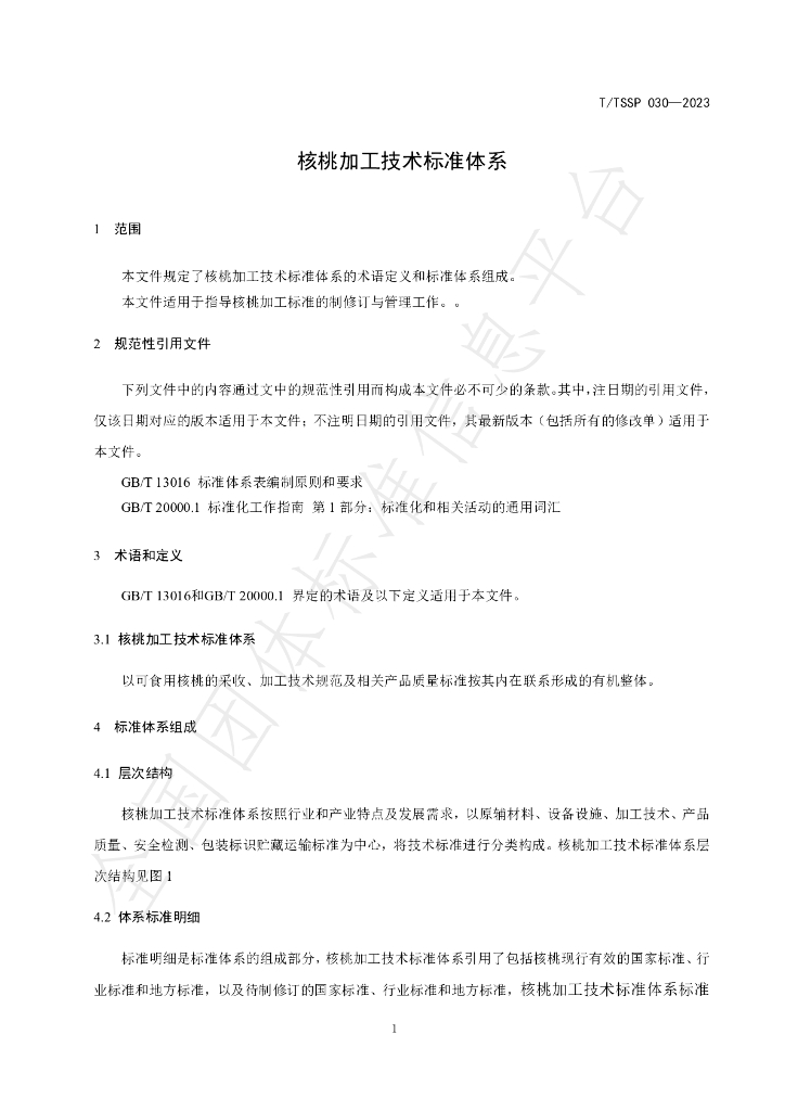 T/TSSP 030-2023 标准预览