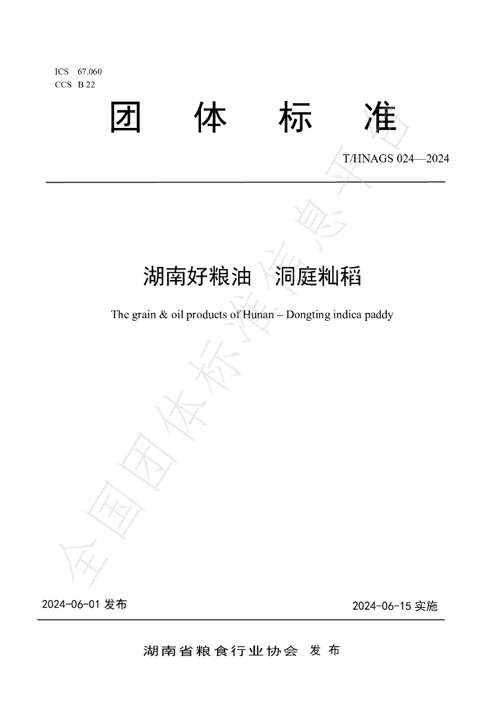 T/HNAGS 024-2024 标准预览