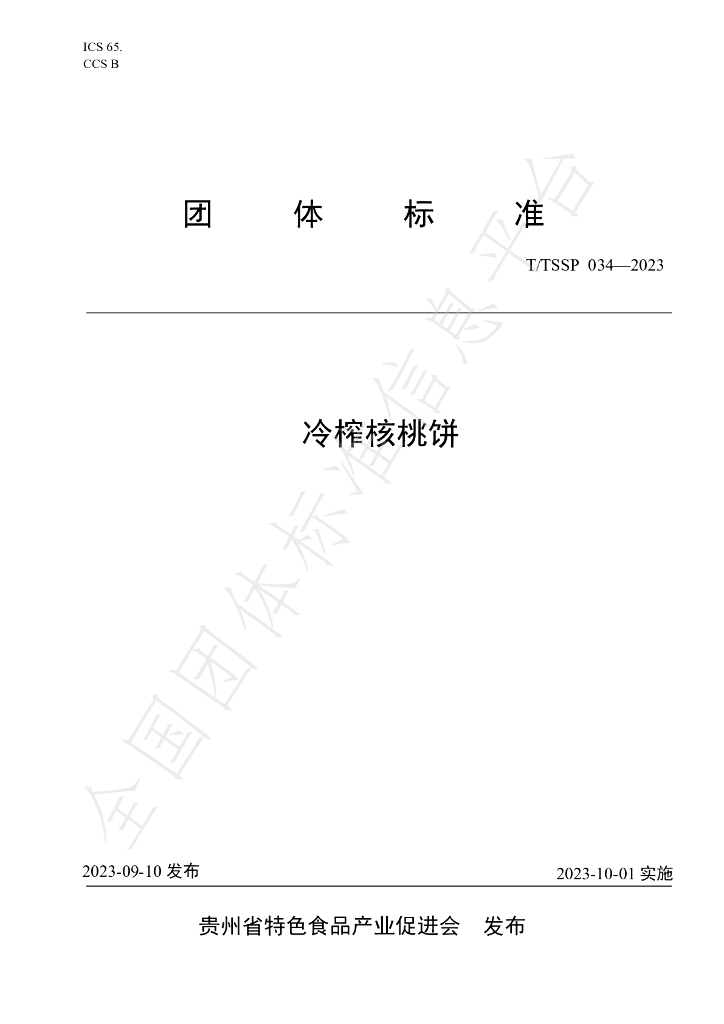 T/TSSP 034-2023 标准预览