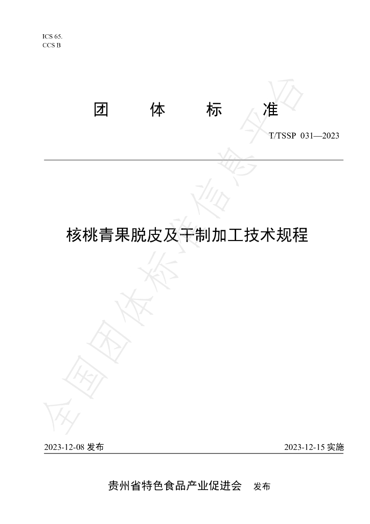 T/TSSP 031-2023 标准预览