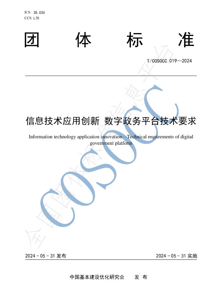 T/COSOCC 019-2024 标准预览