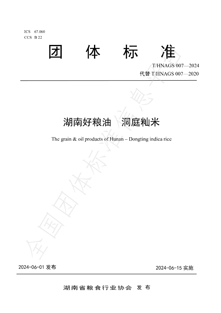 T/HNAGS 007-2024 标准预览