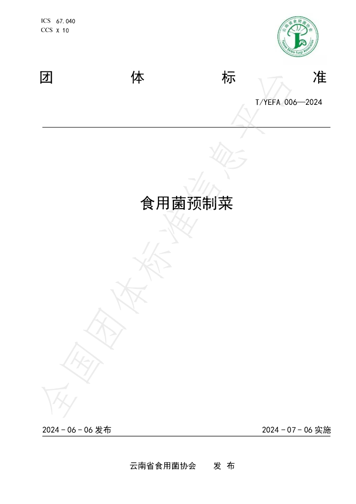 T/YEFA 006-2024 标准预览