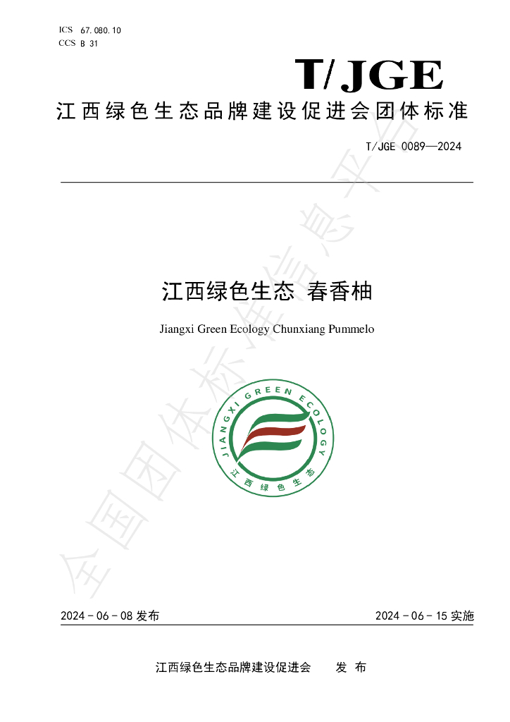 T/JGE 0089-2024 标准预览