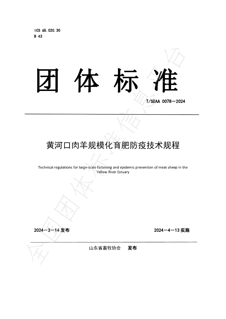 T/SDAA 0078-2024 标准预览