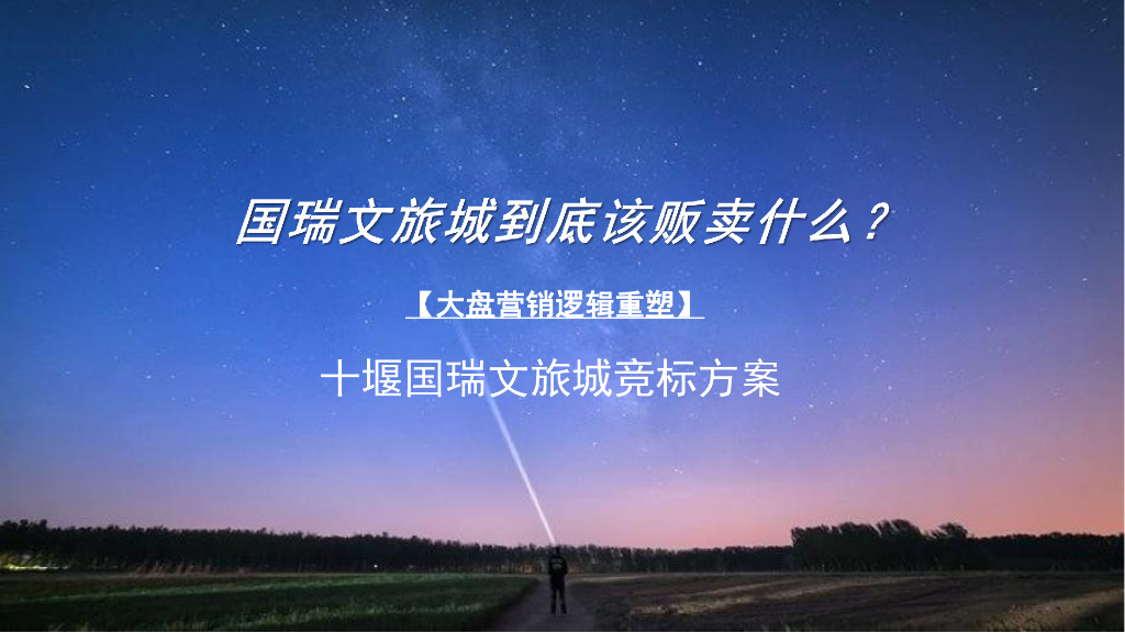 十堰国瑞文旅城竞标方案