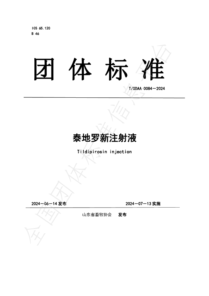 T/SDAA 0084-2024 标准预览