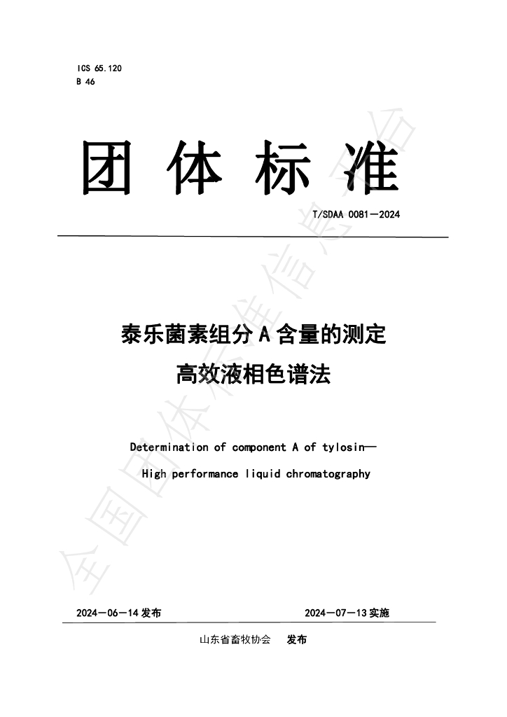 T/SDAA 0081-2024 标准预览