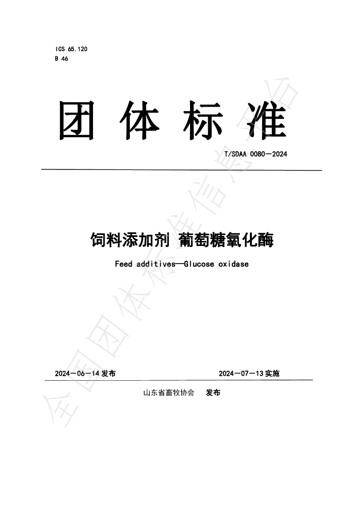 T/SDAA 0080-2024 标准预览
