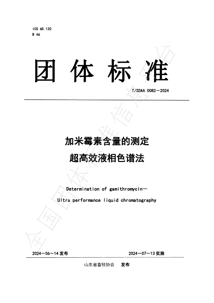 T/SDAA 0082-2024 标准预览