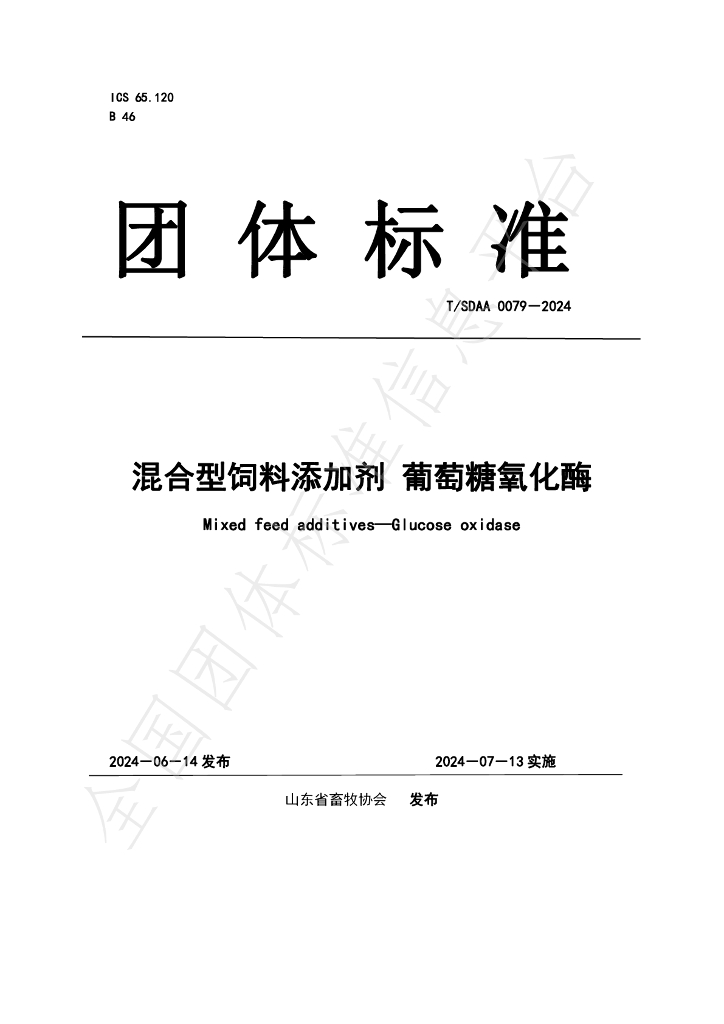 T/SDAA 0079-2024 标准预览