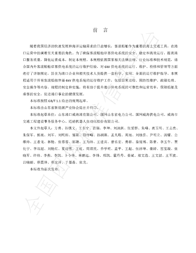 T/SNEIA 5-2024 标准预览