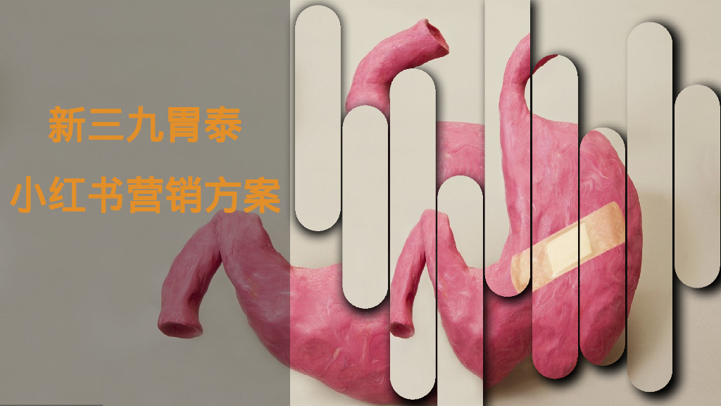 新三九胃泰小红书营销方案