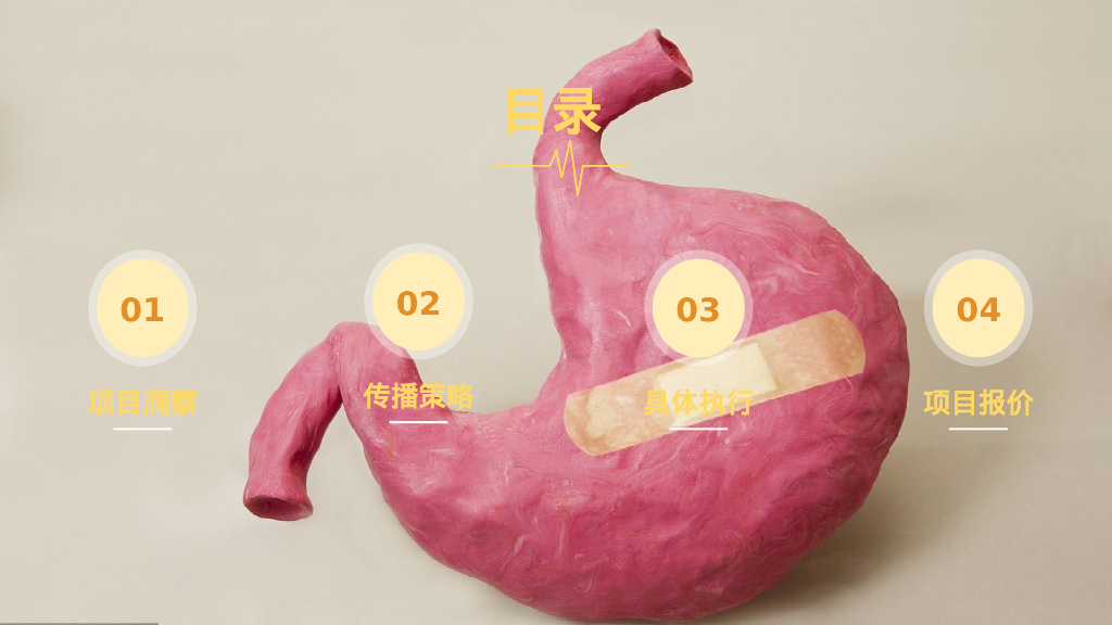 新三九胃泰小红书营销方案_第2页