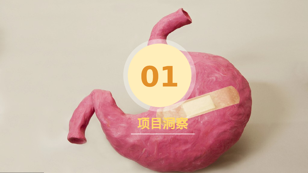 新三九胃泰小红书营销方案_第3页