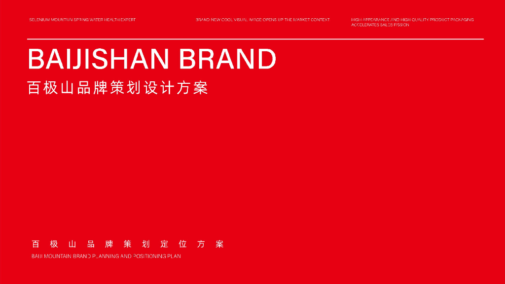 百极山品牌策划设计方案