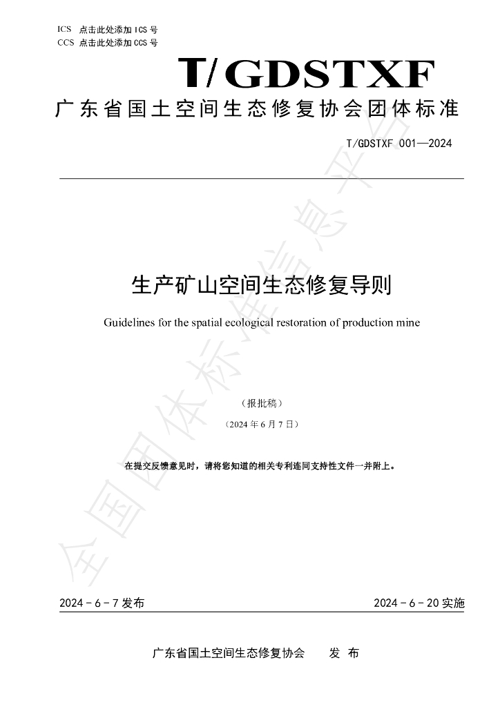 T/GDSTXF 001-2024 标准预览