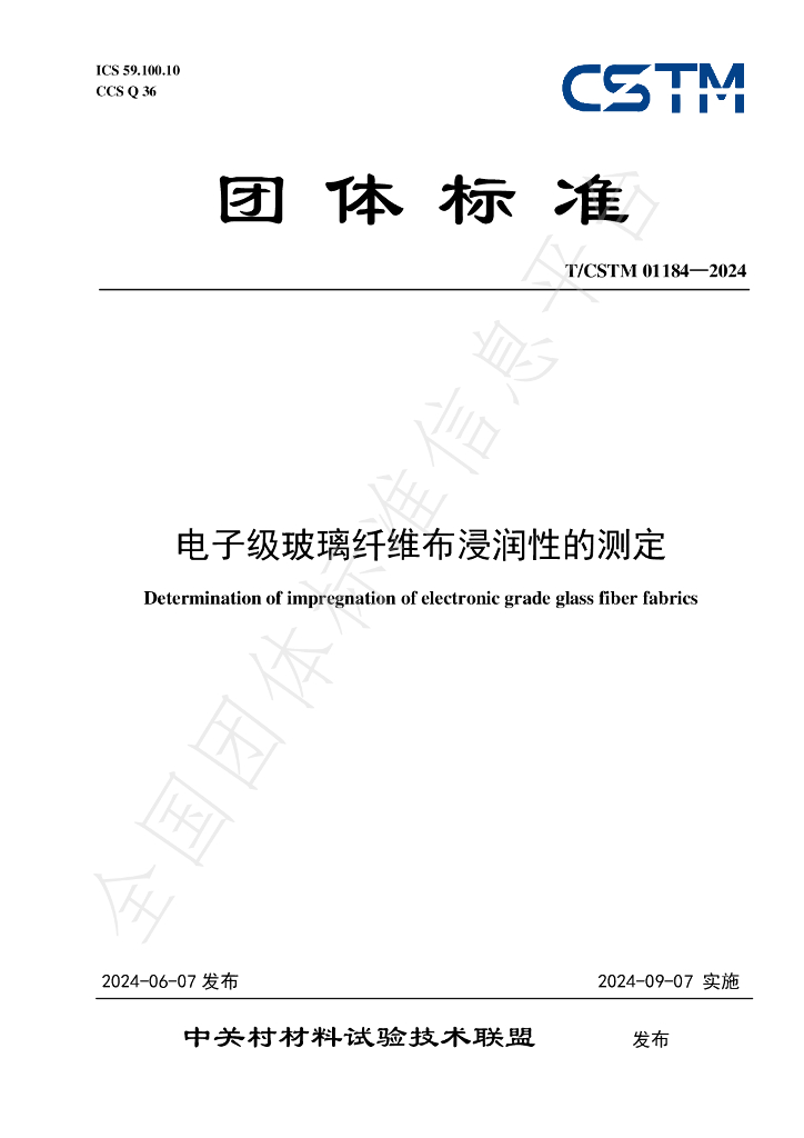 T/CSTM 01184-2024 标准预览
