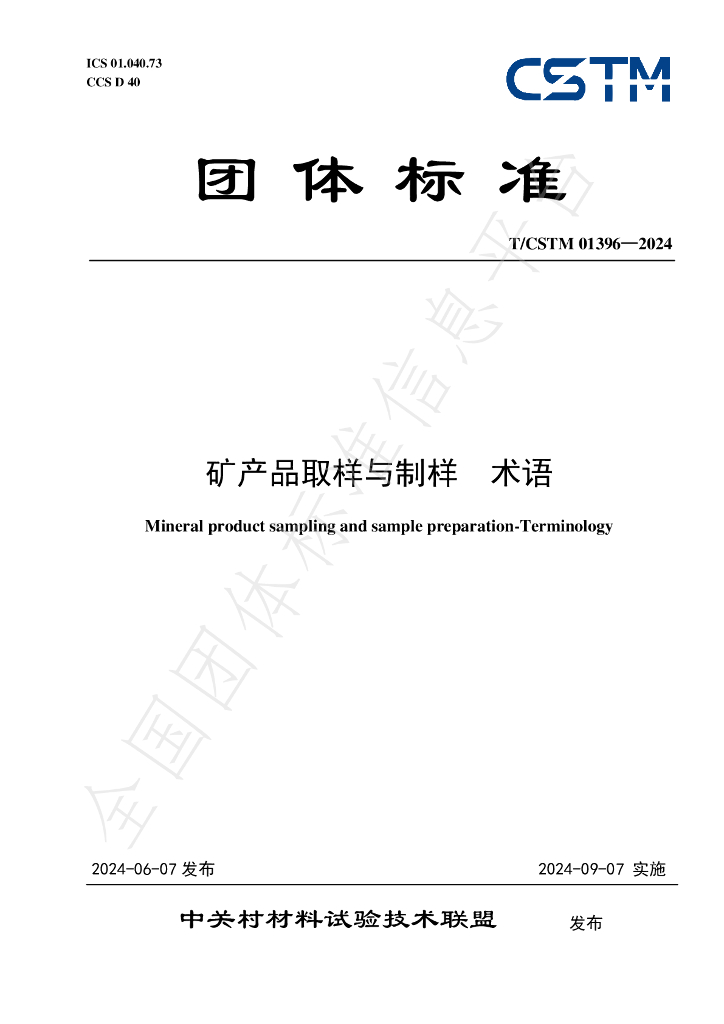 T/CSTM 01396-2024 标准预览