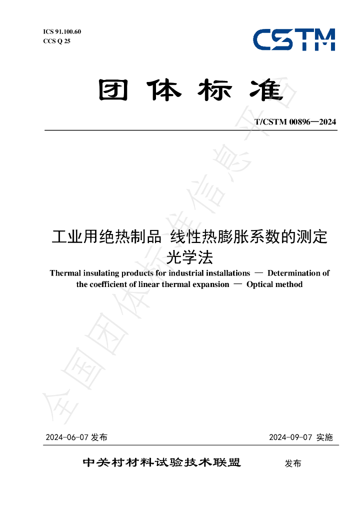 T/CSTM 00896-2024 标准预览