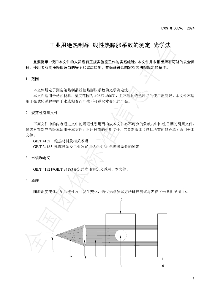 T/CSTM 00896-2024 标准预览