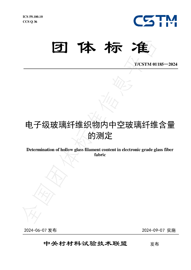 T/CSTM 01185-2024 标准预览