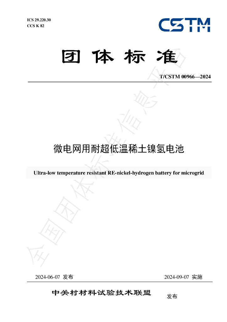 T/CSTM 00966-2024 标准预览