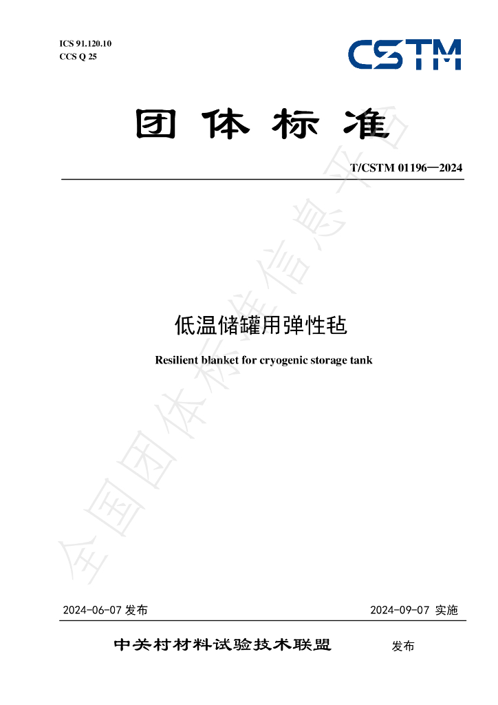 T/CSTM 01196-2024 标准预览