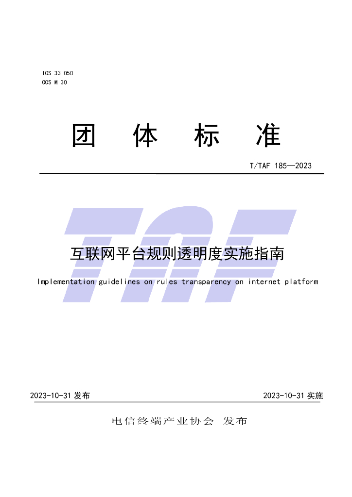 T/TAF 185-2023 标准预览