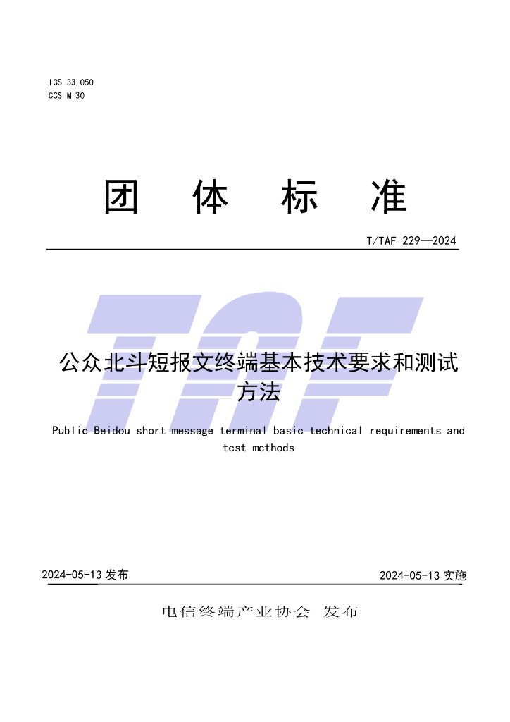 T/TAF 229-2024 标准预览